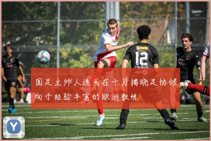 国足主帅人选或在十月揭晓足协倾向于经验丰富的欧洲教练