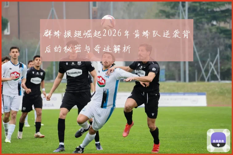 群蜂振翅崛起2026年黄蜂队逆袭背后的秘密与奇迹解析